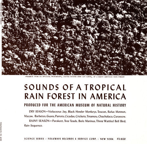 Tropical Rain Forest / Var - Tropical Rain Forest / Var - Music CD