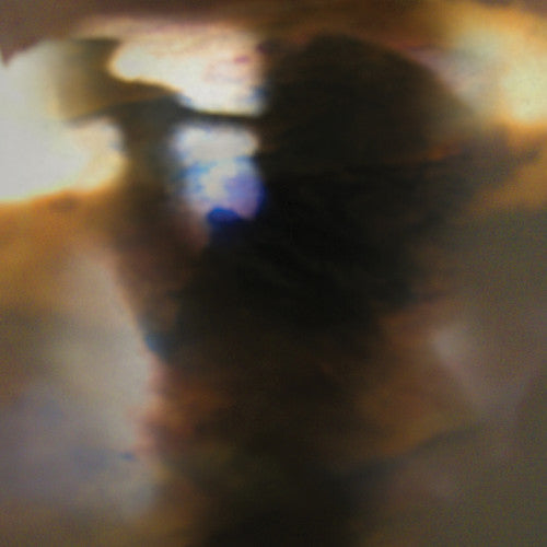 Animal Collective - Fall Be Kind - Music CD