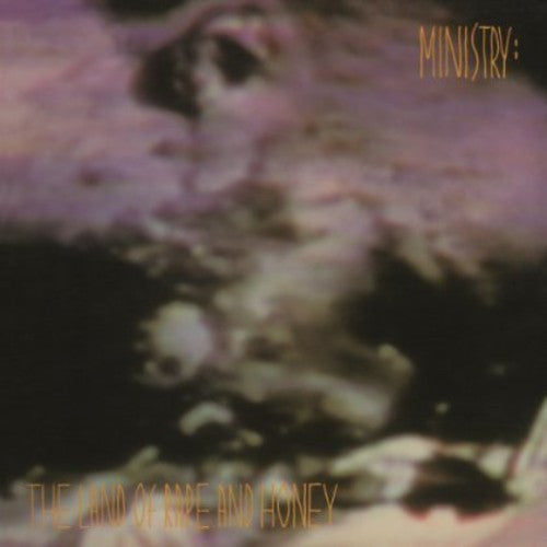 Ministry - Land Of Rape & Honey - Vinyl Record