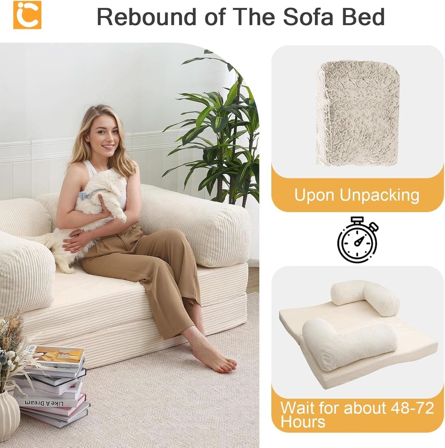Queen Foldable Sleeper Sofa Bed LivingSpace SpaceSaver