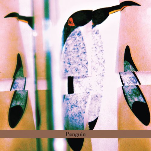 Cohen-milo,haggai - Penguin - Music CD