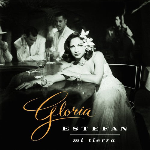 Estefan,gloria - Mi Tierra - Vinyl Record