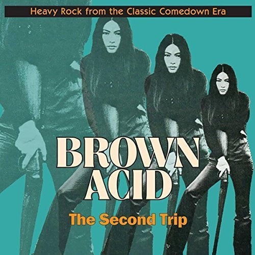 Brown Acid: Second Trip / Various - Brown Acid: Second Trip / Various - Vinyl Record