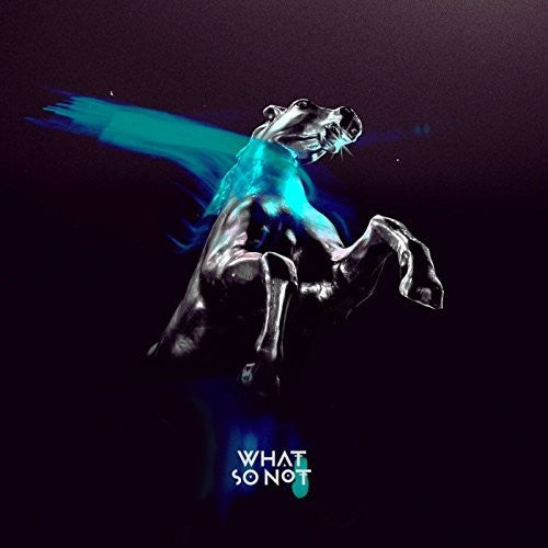 What So Not - Not All The Beautiful Things - Vinyl Record