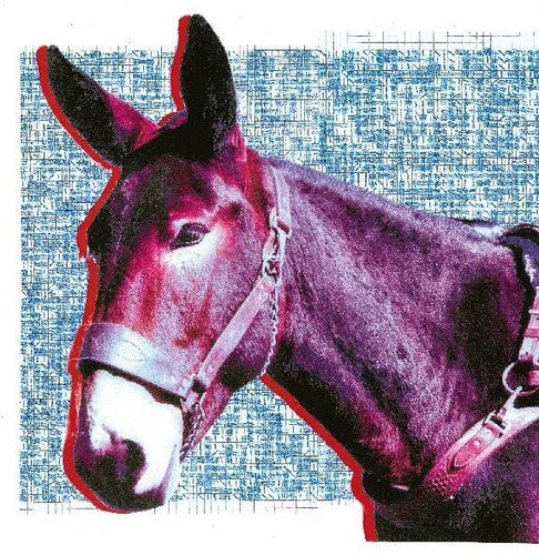 Protomartyr - Ultimate Success Today - Music CD
