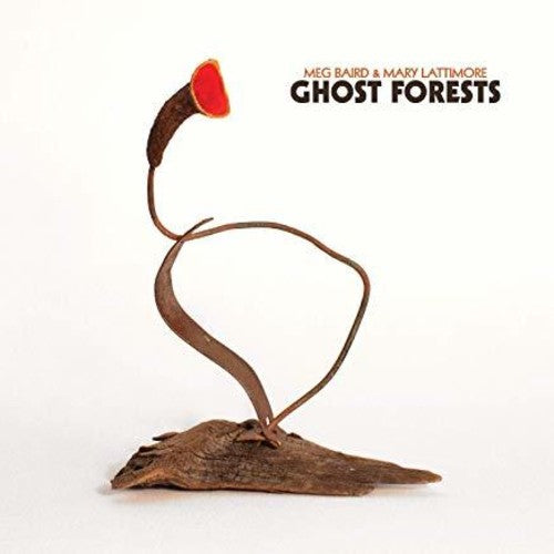 Baird,meg / Lattimore,mary - Ghost Forests - Music CD