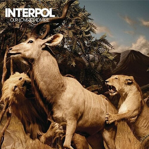 Interpol - Our Love To Admire - Music CD