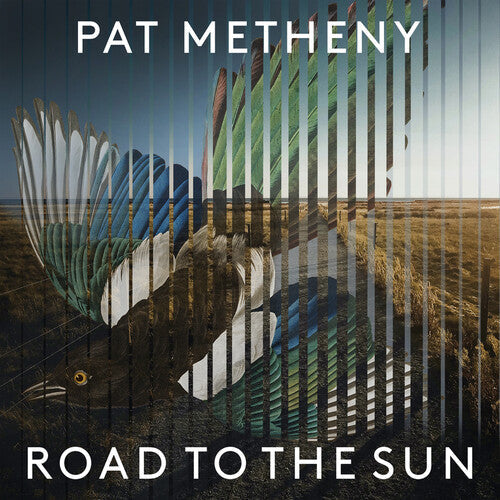 Metheny,pat - Road To The Sun - Vinyl Record