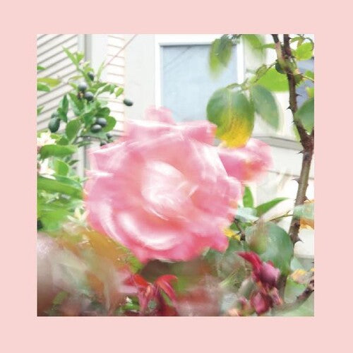 Reds, Pinks And Purples - Summer At Land's End - Music CD