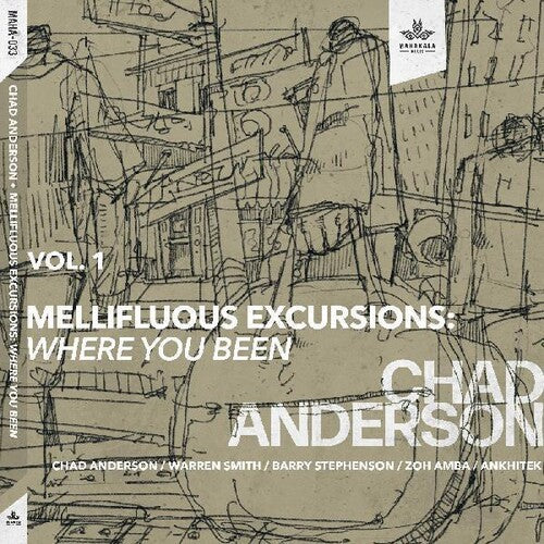 Anderson,chad - Mellifluous Excursions 1- Where You Been - Music CD