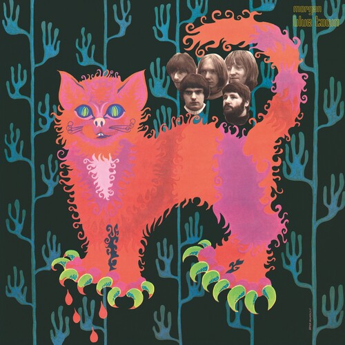 Pussy - Pussy Plays - Vinyl Record