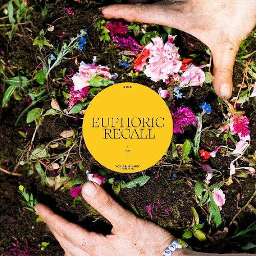 Braids - Euphoric Recall - Vinyl Record