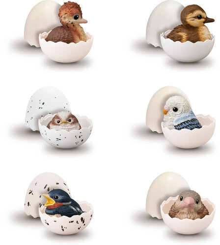 Shokugan Tenori Baby Friends Birds (box/12) Fig Di - Shokugan Tenori Baby Friends Birds (box/12) Fig Di - Collectibles