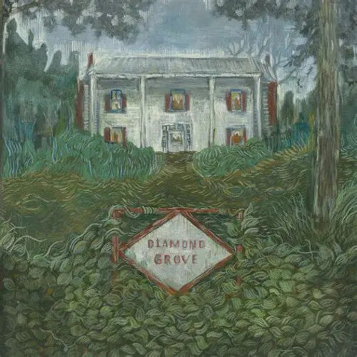 Weirs - Diamond Grove - Vinyl Record