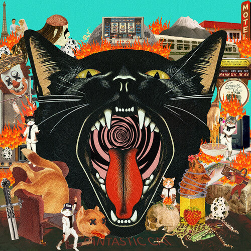 Fantastic Cat - Cat Out Of Hell - Vinyl Record