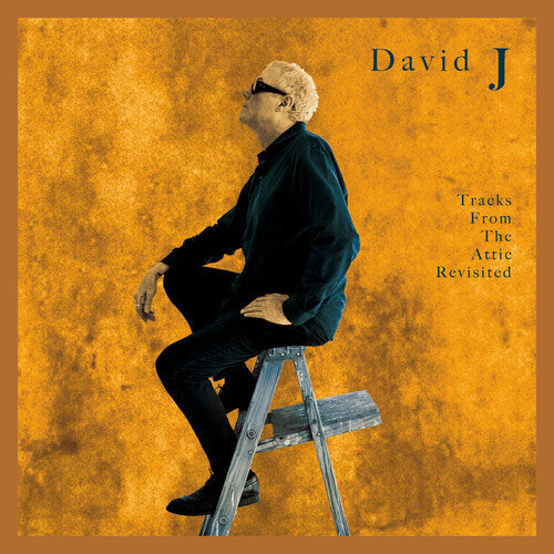 David J - Tracks From The Attic Revisited - Vinyl Record