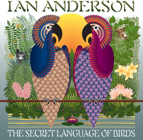 Anderson,ian - Secret Language Of Birds - Vinyl Record
