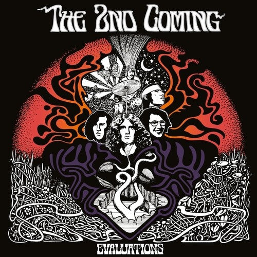 2nd Coming - Evaluations - Vinyl Record
