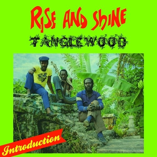 Tanglewood - Rise And Shine - Vinyl Record