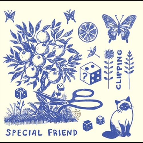 Special Friend - Clipping - Vinyl Record