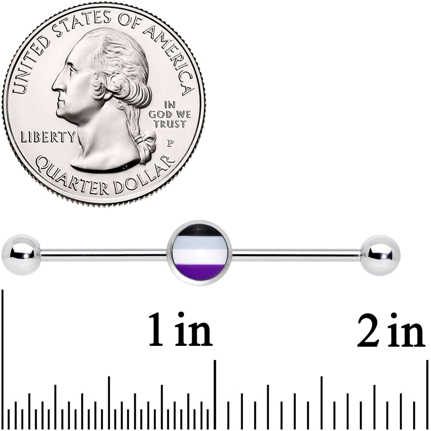 14G Black Gray Purple Asexual Pride Flag Industrial Barbell 38mm