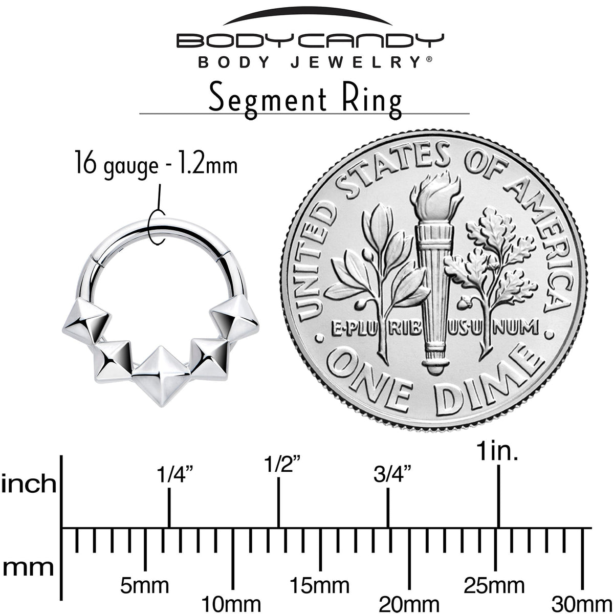 16G 5/16 3D Punk Style Hinged Segment Ring