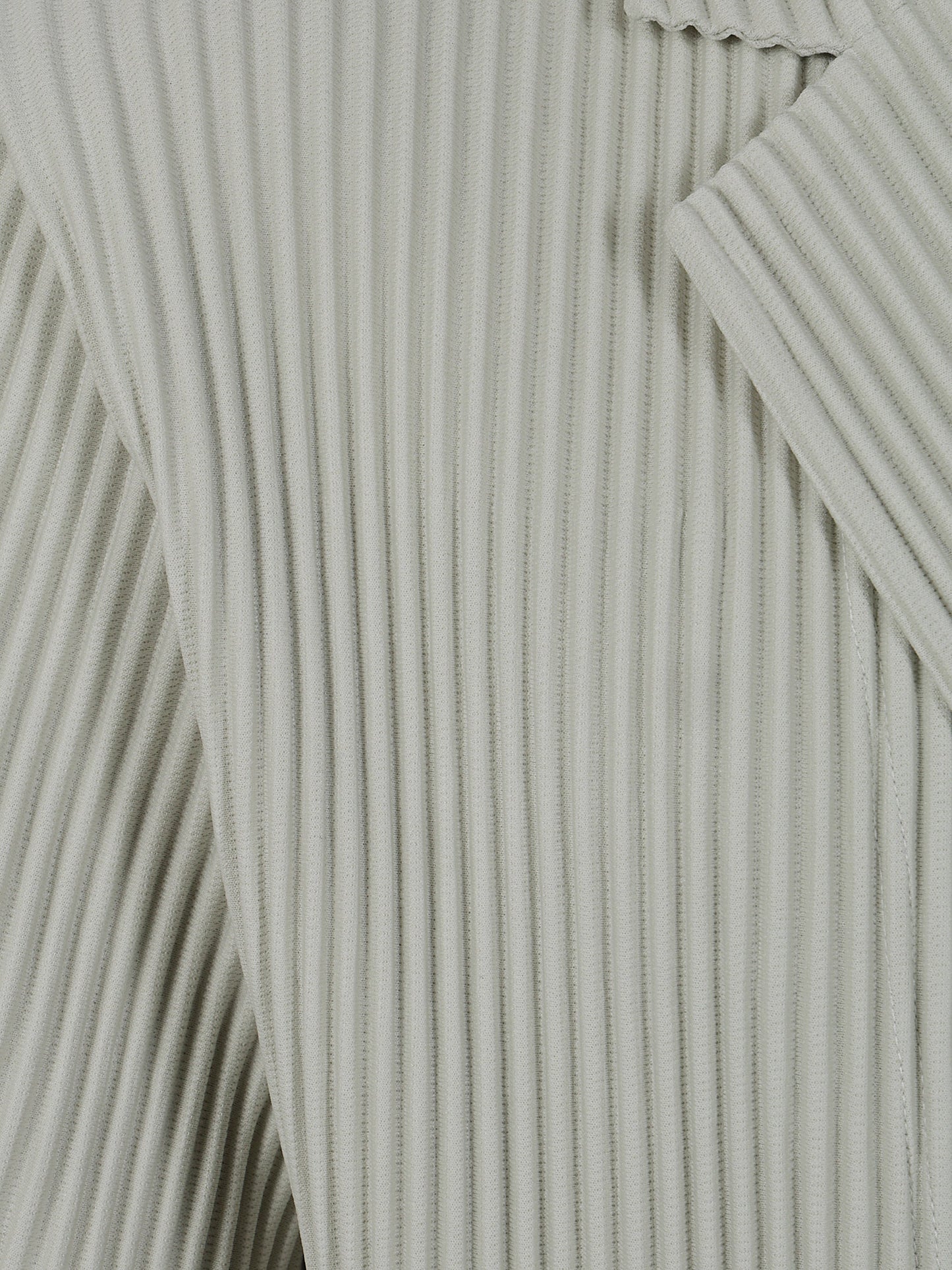 Homme Plisse` Issey Miyake Men Tailored Pleats 1 Jacket