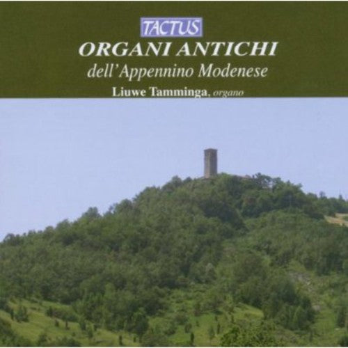 Tamminga - Historic Organs of Modena Italy [CD]