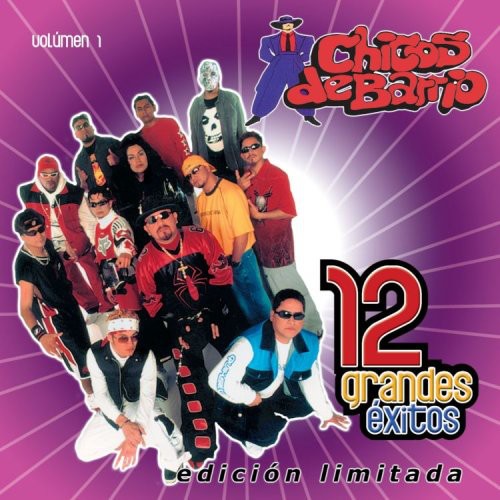 Chicos De Barrio - Vol. 1-12 Grandes Exitos [CD]
