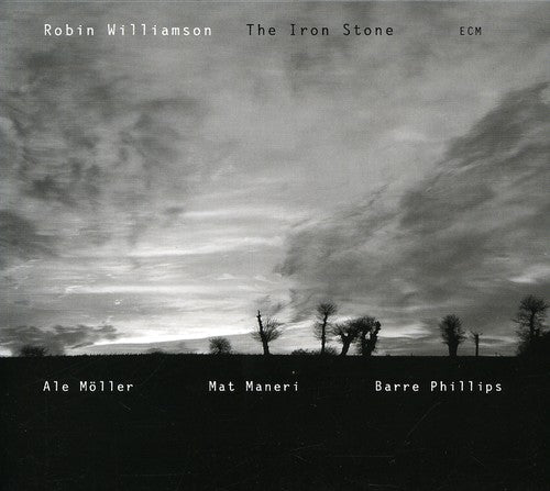 Robin Williamson - Iron Stone [Import]