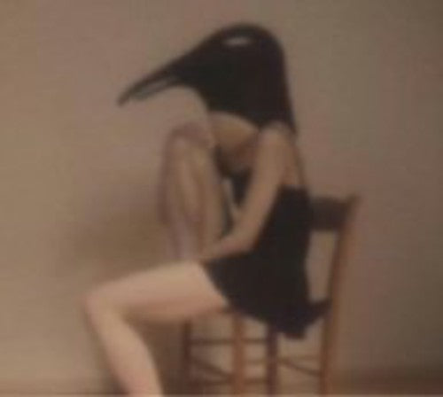 Penguin Cafe Orchestra - Penguin Cafe Orchestra - Music CD