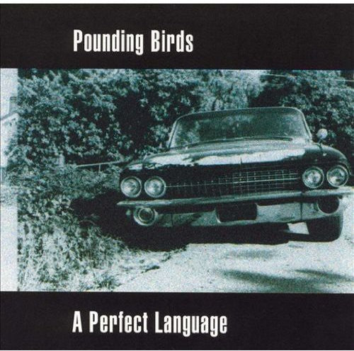 Pounding Birds - Perfect Language [CD]