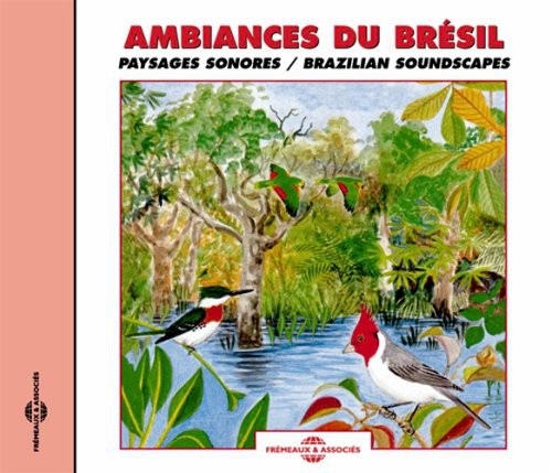 Various Artists - Brazilian Soundscapes [CD]