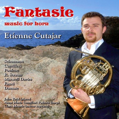 John Reid - Fantasie: Music of Horn [CD]