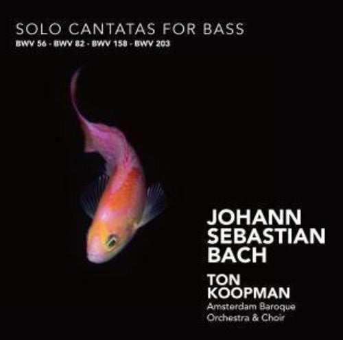 Amsterdam Baroque Choir - Solo Cantatas for Bass [CD]