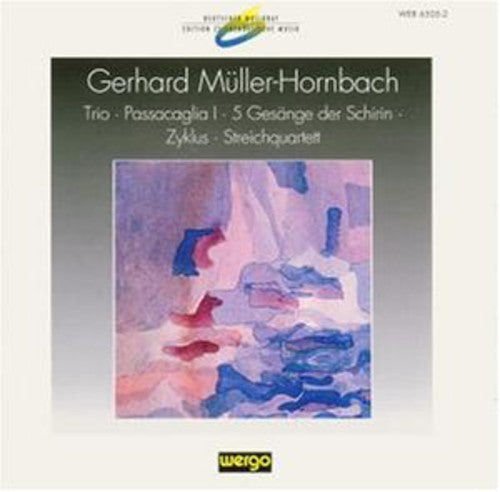Muller-Hornbach Trio - Passacaglia I / Various - Muller-hornbach: Trio - Passacaglia I / Various [CD]