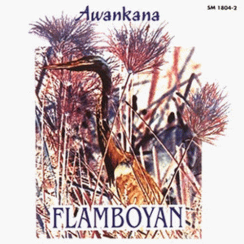 Awankana - Flamboyan-River of the Stars [CD]