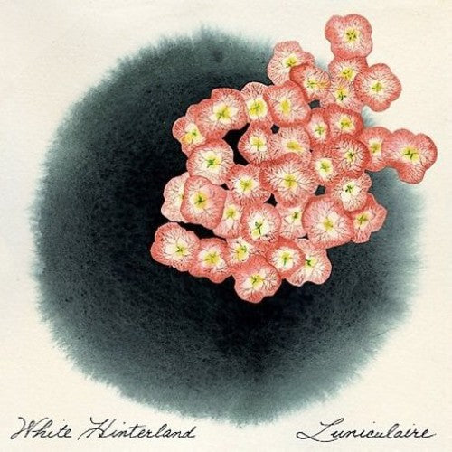 White Hinterland - Luniculaire [CD]
