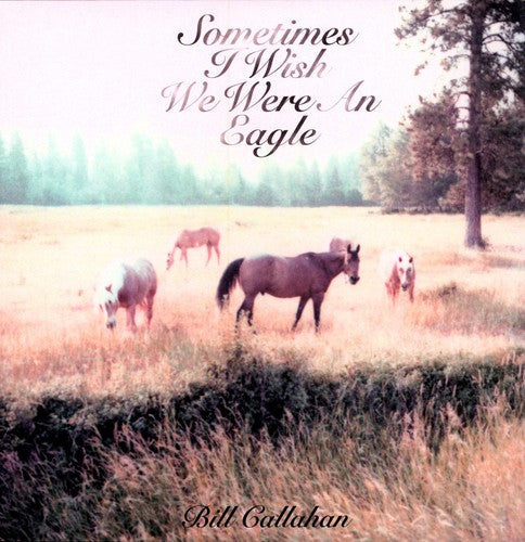Callahan,bill - Sometimes I Wish We Were An Eagle - Vinyl Record