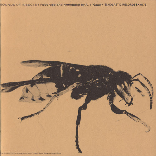 Sounds Of Insects - Sounds of Insects / Various [CD]