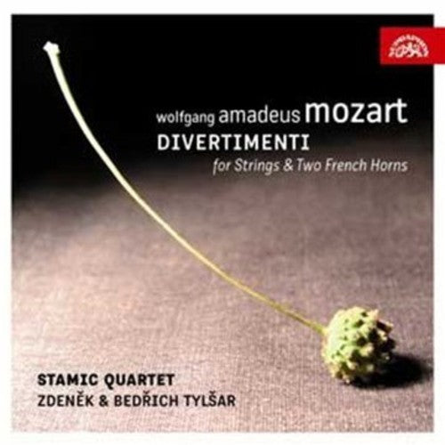 Zdenek Tylsar - Divertimento for Strings & Two French Horns [2 CD]