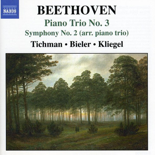 Xyrion Trio - Piano Trio No 3 / Symphony No 2 [CD]