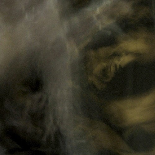 Pixyblink & Rhea Tucanae - Fungi from [CD]