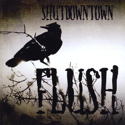 Shut Down Town - Flush [CD]