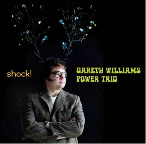 Gareth Williams Power Trio - Shock: Gareth Williams Power Trio [CD]