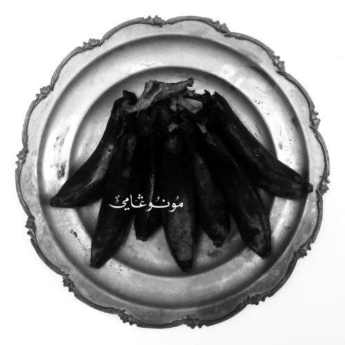 Land Of Kushs Egyptian Light Orchestra - Monogamy [CD]