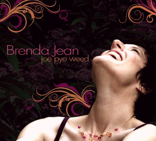Brenda Jean - Joe Pye Weed [CD]