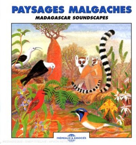 Roche / Sounds Of Nature - Madagascar Soundscapes Music CD