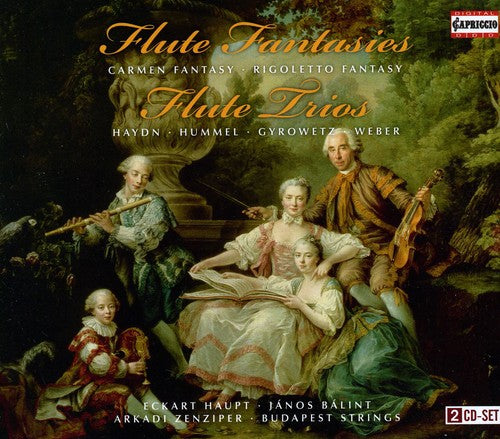 Haydn/Hummel/Weber/Gyrowetz - Flute Fantasies / Flute Trios [CD]