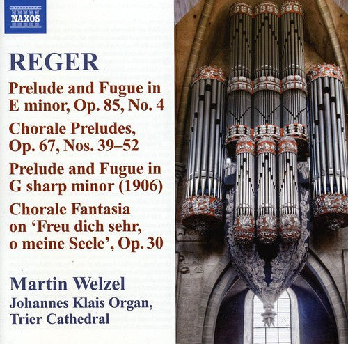 Martin Welzel - Reger 10: Organ Works [CD]